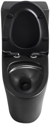 1.1/1.60 GPF Dual-Flush One Piece Toilet, Water-Saving Elongated Comfort Height Floor Mounted, Soft Closing Seat, 1000 Gram Map Flushing Score Toilet, Matte Black 23T02-MB (Black-2)