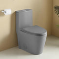 1.1/1.60 GPF Dual-Flush One Piece Toilet, Water-Saving Elongated Comfort Height Floor Mounted, Soft Close 1000 Gram Map Flushing Score Toilet, Light Grey 23T01-LG(Gray-2)