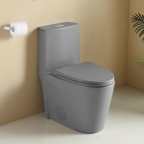 1.1/1.60 GPF Dual-Flush One Piece Toilet, Water-Saving Elongated Comfort Height Floor Mounted, Soft Close 1000 Gram Map Flushing Score Toilet, Light Grey 23T01-LG(Gray-2)