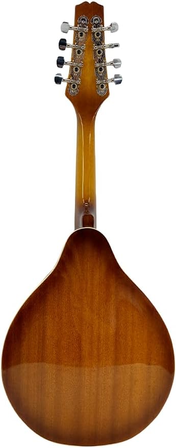 Mandolin Musical Instrument A Style E-Acoustic Mandolin Instrument Kit 8 String for Beginners Adults with Carrying Case Extra Strings Picks Cleaning Cloth