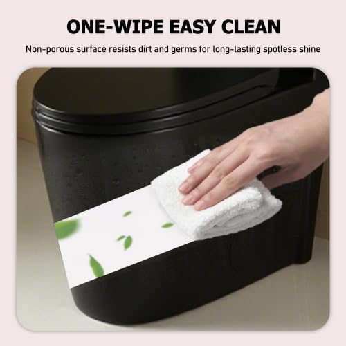 1.1/1.60 GPF Dual-Flush One Piece Toilet, Water-Saving Elongated Comfort Height Floor Mounted, Soft Closing Seat, 1000 Gram Map Flushing Score Toilet, Matte Black 23T02-MB (Black-2)