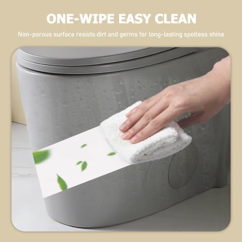 1.1/1.60 GPF Dual-Flush One Piece Toilet, Water-Saving Elongated Comfort Height Floor Mounted, Soft Close 1000 Gram Map Flushing Score Toilet, Light Grey 23T01-LG(Gray-2)
