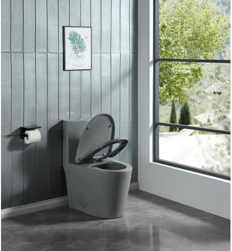 1.1/1.60 GPF Dual-Flush One Piece Toilet, Water-Saving Elongated Comfort Height Floor Mounted, Soft Close 1000 Gram Map Flushing Score Toilet, Light Grey 23T01-LG(Gray-2)