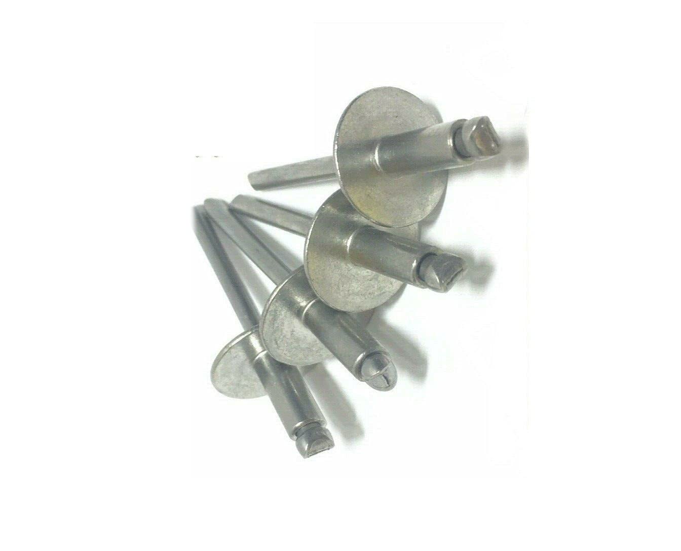 KolotovichTool Pack of 500, 3/16' x 3/4' Grip All Stainless Steel Large Flange POP Rivet 612LF Fastener Kit Bolt Set RE-8256DD