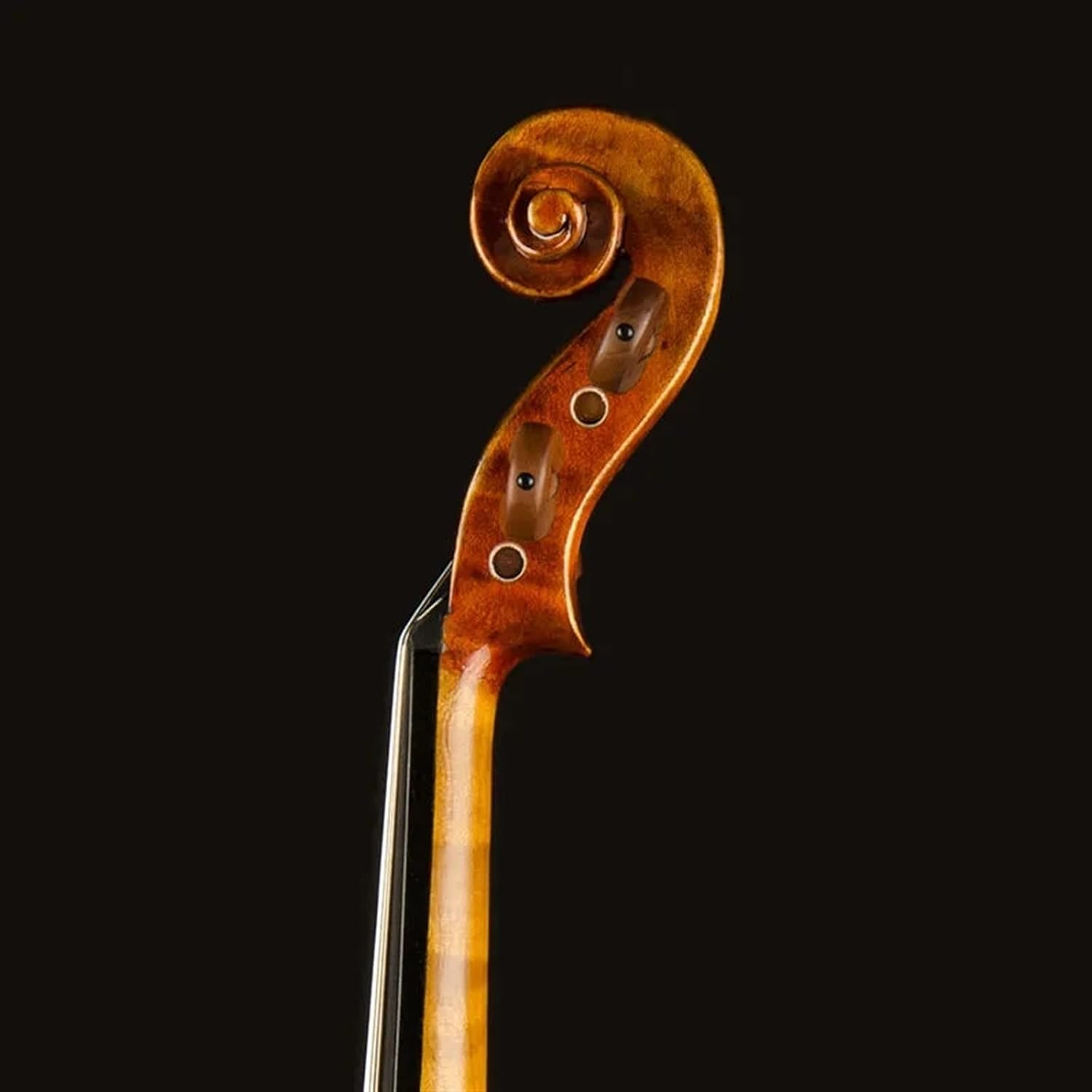 TSTS Professional Violin 4/4 Full Size Children Adult Beginners Practice Playing Handmade Violin Musical Instrument Adults Violins (Color : 02)