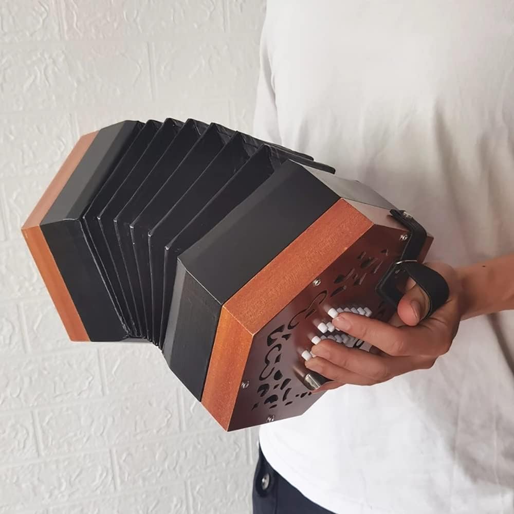 30 Buttons Concertina Accordion, Hand Piano Accordion Music Instrument, Musical Instrument For Adults Beginners, With Carrying Bag, Adjustable Hand Strap