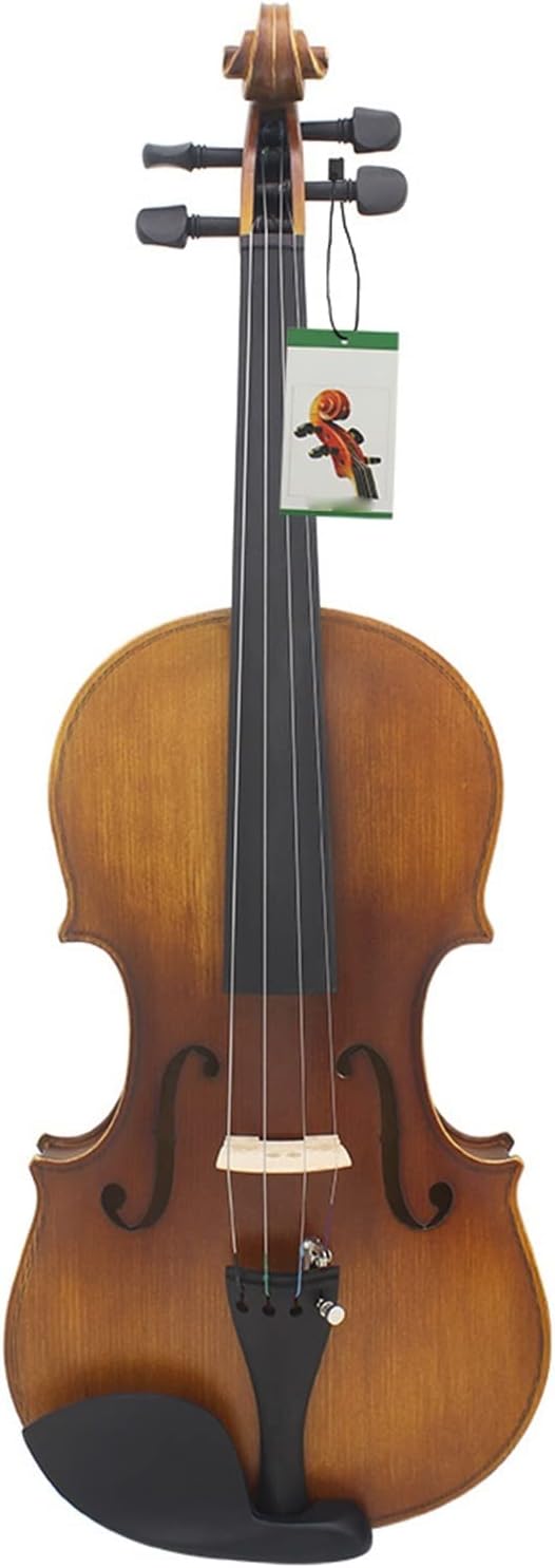 TSTS Handmade 4/4 Violin Exquisite Matte Old-Fashioned Spruce Panel Fiddle Musical Instrument Adults Violins