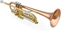 Student Brass Trumpet Trumpet Musical Instrument Adult Beginner Professional Performance Trumpet