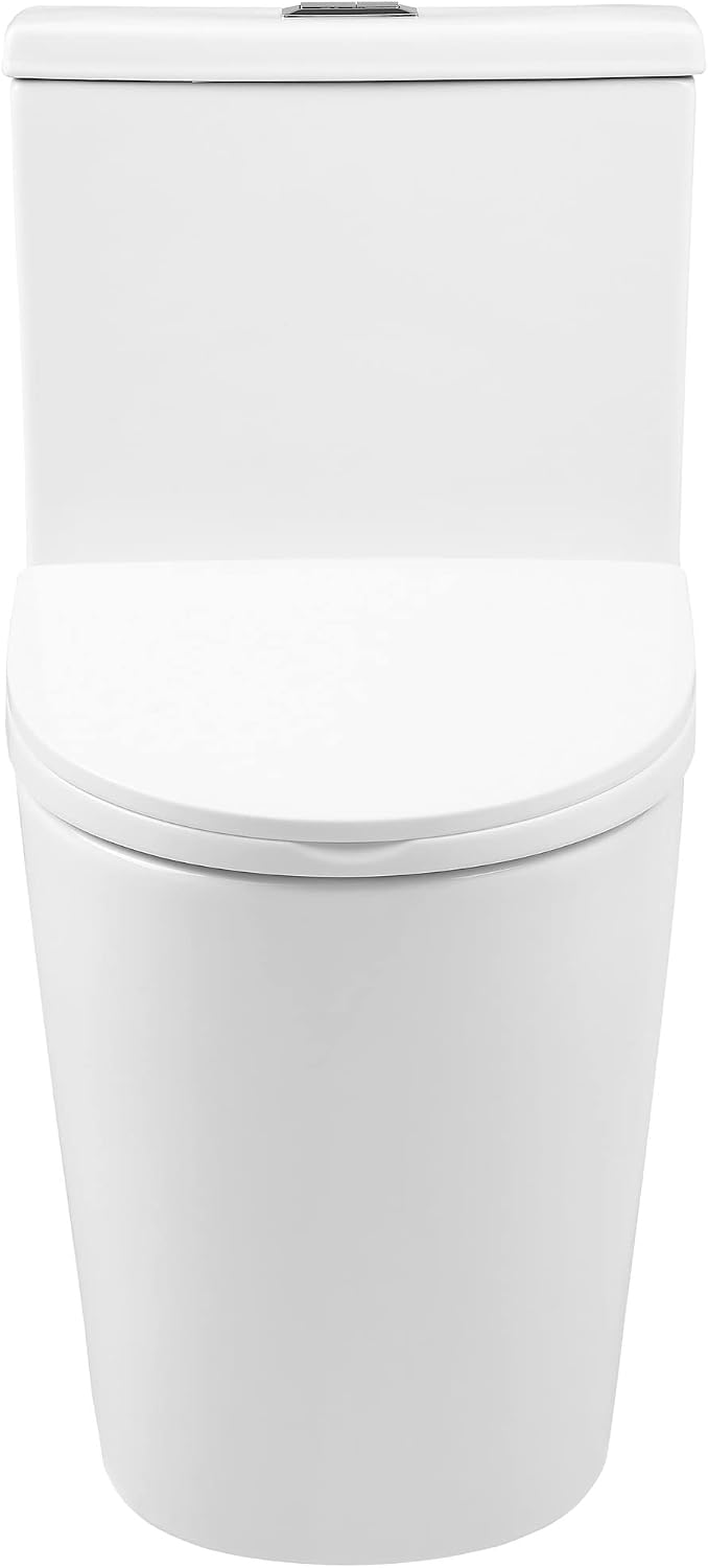 Antibes One Piece Elongated Dual Flush Toilet with 0.95/1.26 GPF