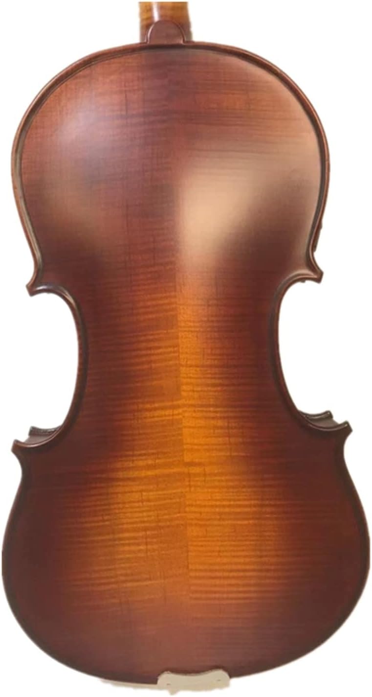 TSTS Brown Colors Solid Wood European Spruce Panel 4/4 Electric Acoustic Violin Musical Instrument Adults Violins