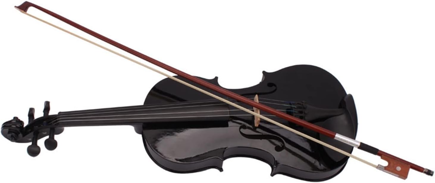 TSTS 4/4 Full Size Acoustic Violin Fiddle Black with Case Bow Basswood Wood Stringed Musical Instruments Adults Violins (Color : 02)