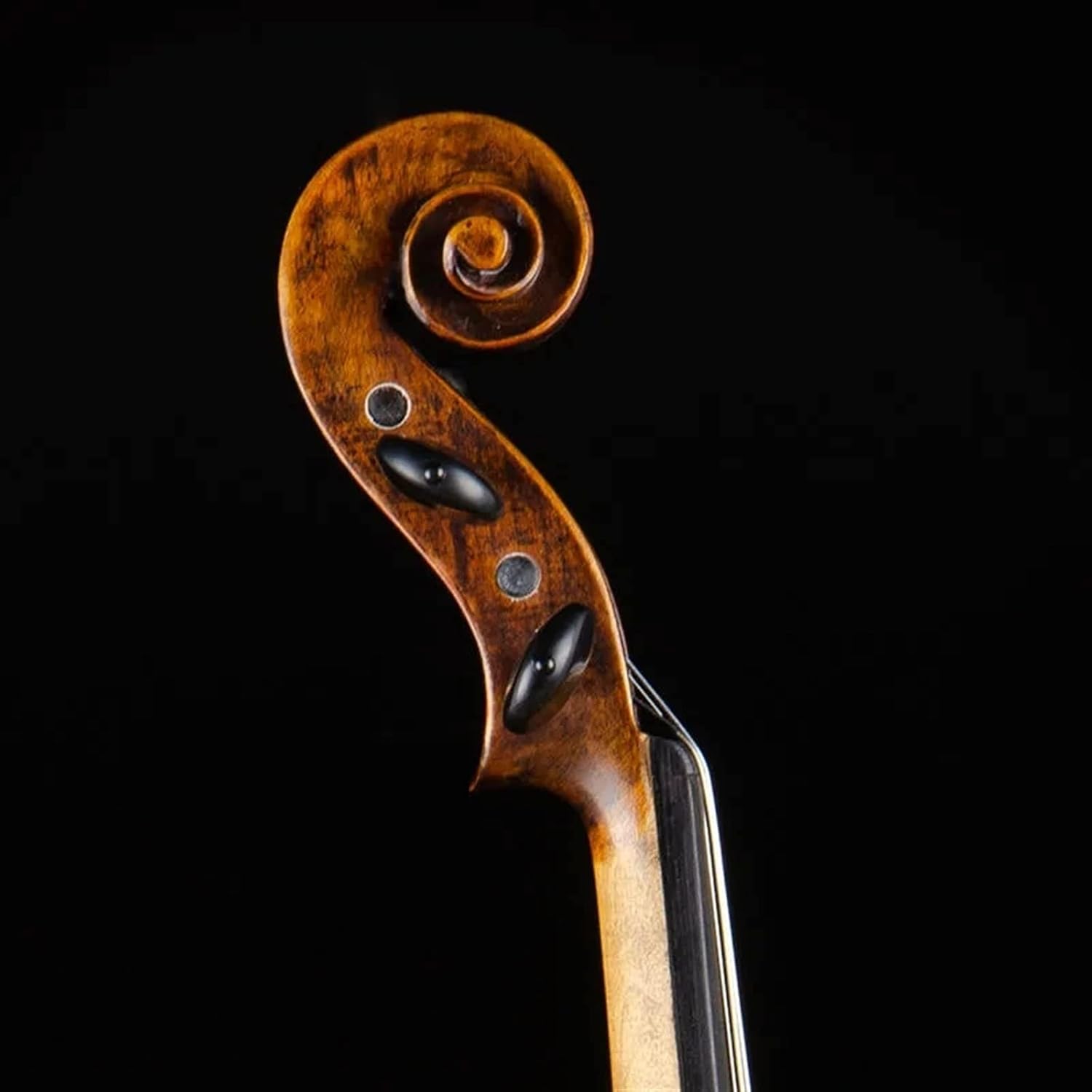 TSTS Professional Violin 4/4 Full Size Children Adult Beginners Practice Playing Handmade Violin Musical Instrument Adults Violins (Color : 01)