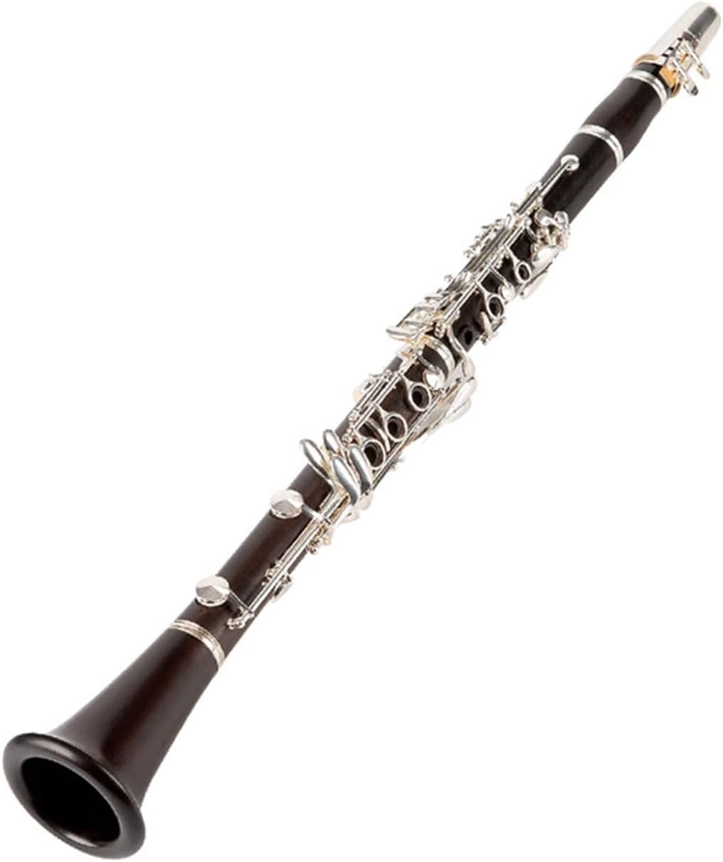 clarinet for Beginner Clarinet musical instrument adult beginner professional performance