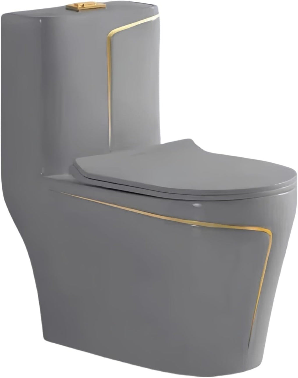 Elongated One Piece Toilet, Water Sense Dual Flush 1.85 Gallons Per Flush Compact Comfort Height, 12' Rough-In Small Bathroom Toilet, Grey (Seat Included)