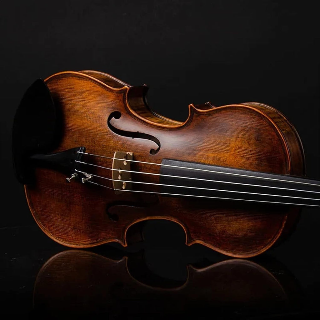 TSTS Professional Violin 4/4 Full Size Children Adult Beginners Practice Playing Handmade Violin Musical Instrument Adults Violins (Color : 01)