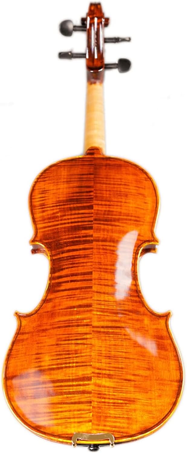 TSTS Professional Violin 20 Years Old Naturally Dried Stripes Maple Violin Body Handmade 4/4 Violin Musical Instrument Adults Violins (Color : 4/4)