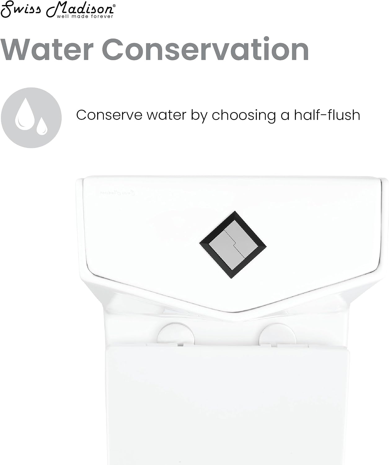 Brusque One-Piece Square Toilet Dual-Flush 1.1/1.6 gpf