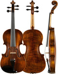 TSTS Professional Violin 4/4 Full Size Children Adult Beginners Practice Playing Handmade Violin Musical Instrument Adults Violins (Color : 01)