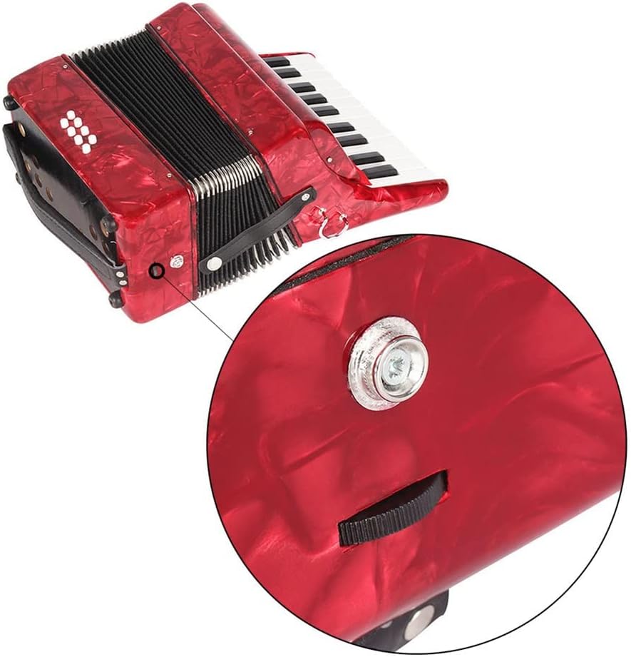 22 Buttons Accordion, 22 Keys 8 Bass Exquisite Celluloid Piano Accordion with Adjustable Straps, Professional Musical Instruments for Adults Beginners (Color : Red)