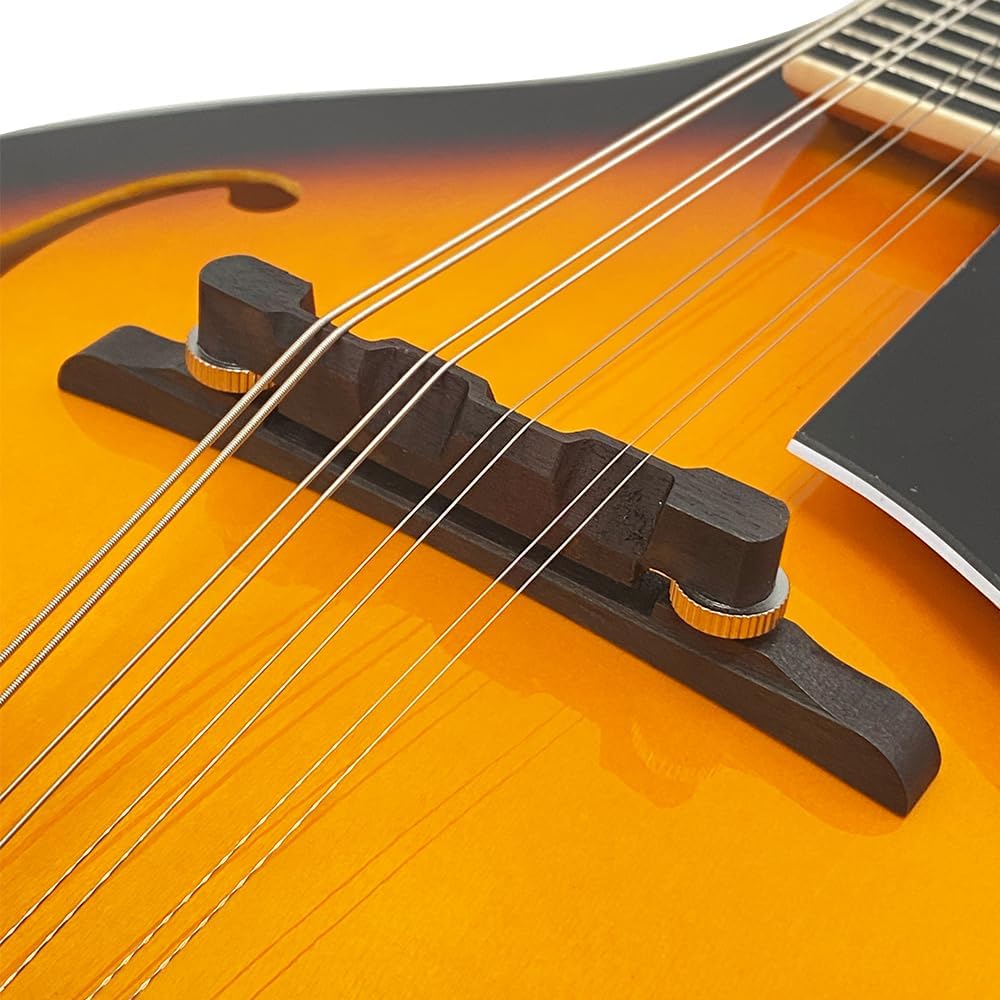 Mandolin Musical Instrument A Style Acoustic Mandolin Instrument Kit 8 String for Beginners Adults with Carrying Case Extra Strings Picks Cleaning Cloth
