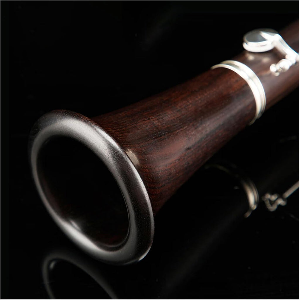 clarinet for Beginner Clarinet musical instrument adult beginner professional performance
