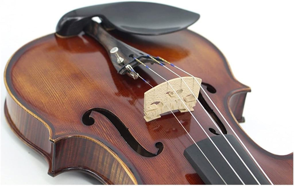 TSTS Naturally Dried Stripes Maple Violin 4/4 Hand-Made Professional Violin Musical Instrument Adults Violins