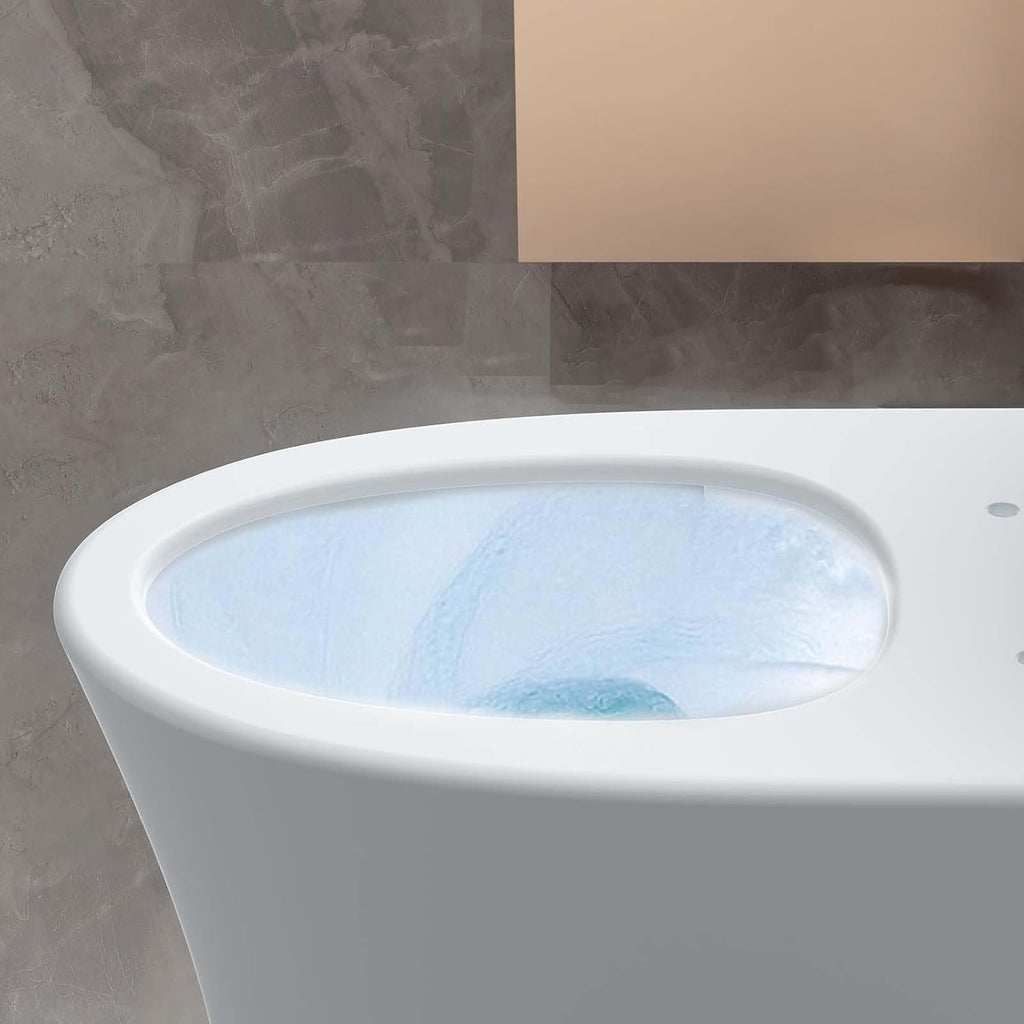 One Piece Elongated Toilet with Top Dual Flush and V Shape Soft Close Seat, Modern Bathroom Toilet for Home and Guest Use