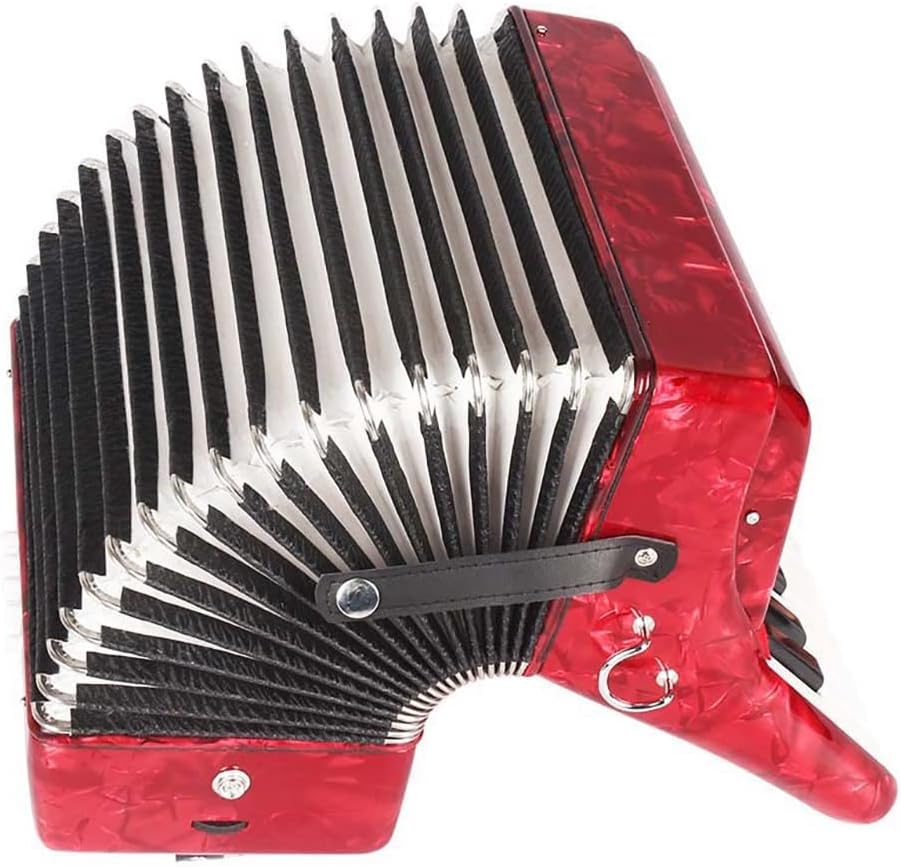 22 Buttons Accordion, 22 Keys 8 Bass Exquisite Celluloid Piano Accordion with Adjustable Straps, Professional Musical Instruments for Adults Beginners (Color : Red)
