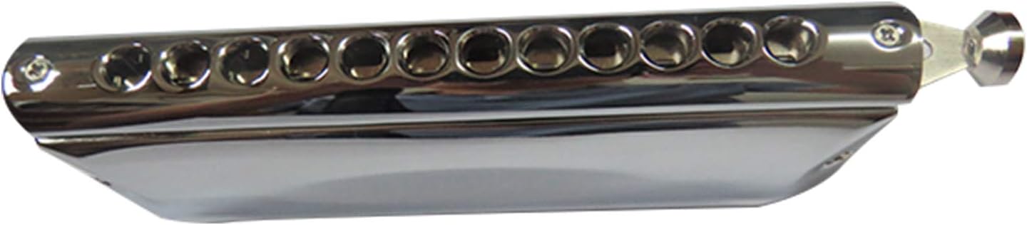 East top Chromatic Harmonica Bb key with Brass Comb, 12 Holes 48 Tones Professional Mouth Organ Harmonica For Adults, Professionals and Students (brass comb-Bb)