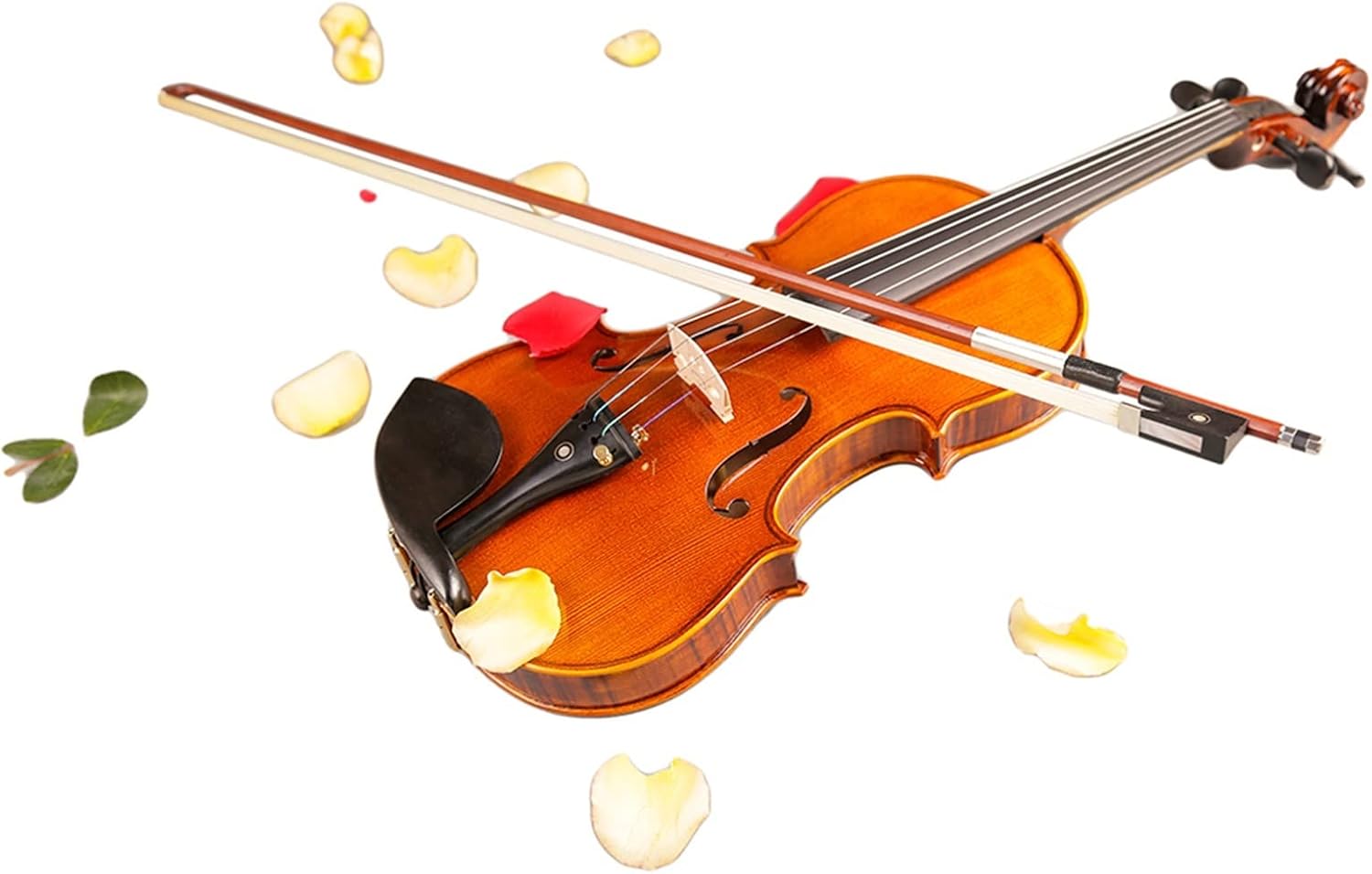 TSTS Professional Violin 20 Years Old Naturally Dried Stripes Maple Violin Body Handmade 4/4 Violin Musical Instrument Adults Violins (Color : 4/4)