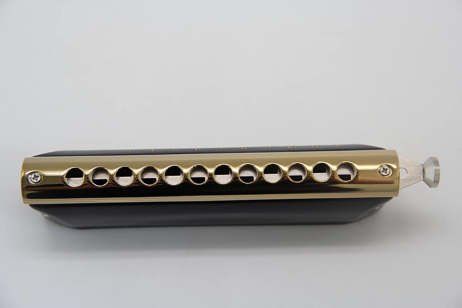 East top Chromatic Harmonica Key of C, 12 Holes 48 Tones Chromatic Mouth Organ Harmonica For Adults, Professionals and Students (BK)