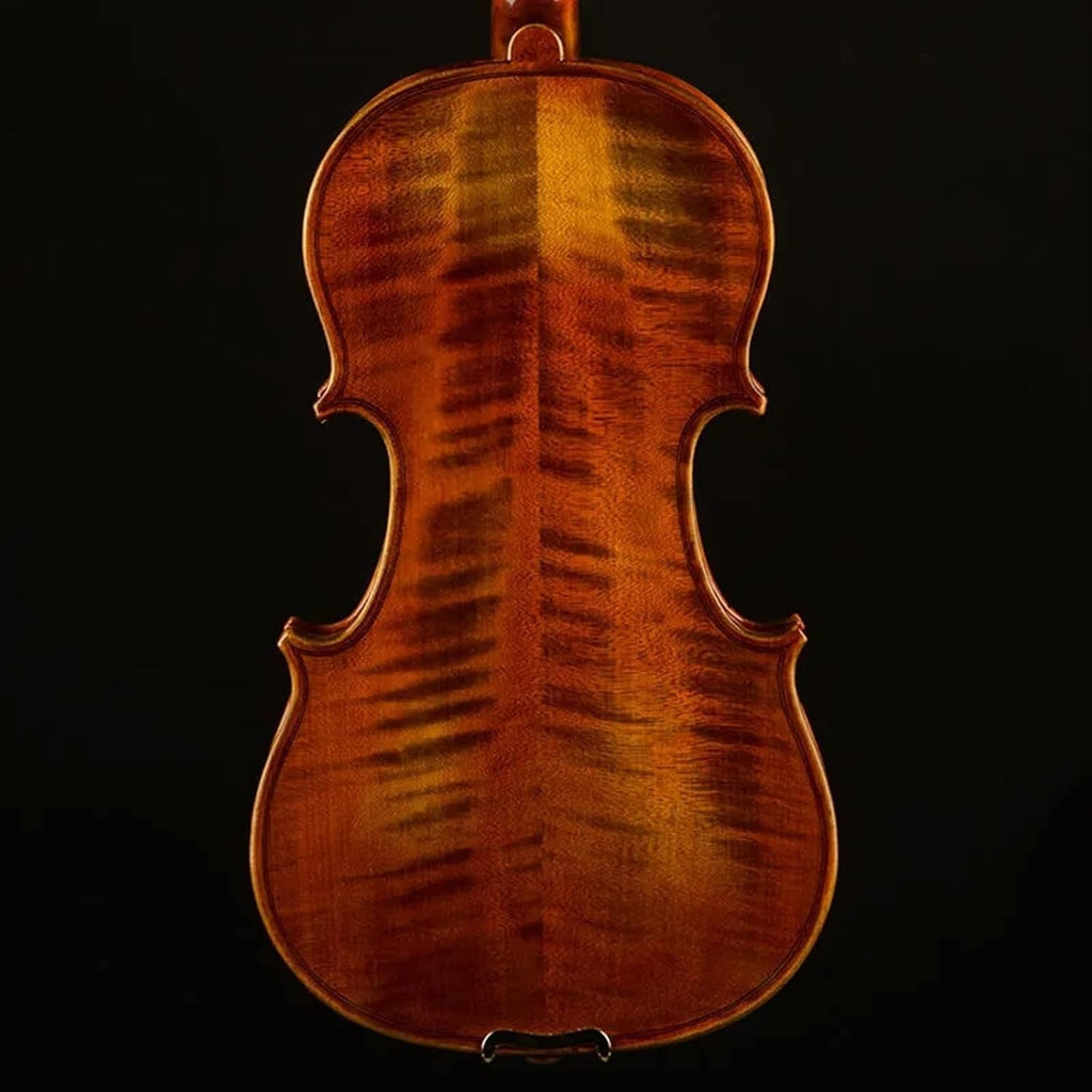 TSTS Professional Violin 4/4 Full Size Children Adult Beginners Practice Playing Handmade Violin Musical Instrument Adults Violins (Color : 02)