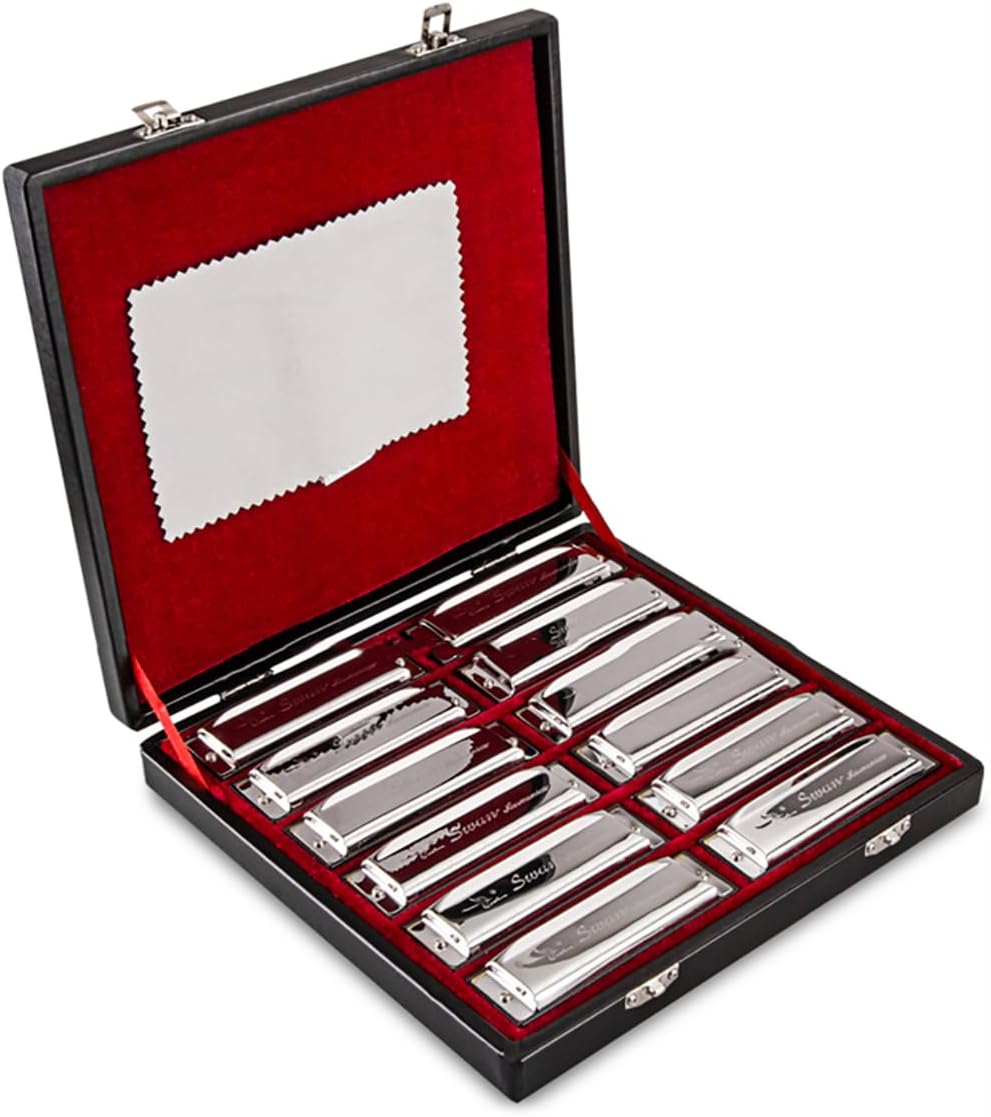 SWAN Harmonica Set 12 Keys 10 Hole 20 Tones Harmonica Blues Mini Harmonica for Adult, Professional Player,Beginner,Students with Case Bag (Silver 12 key A B C D E F G Ab Bb Db Eb Gb)