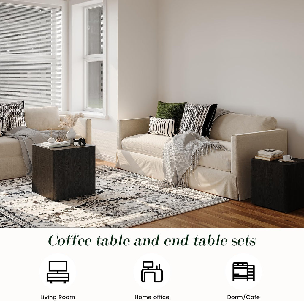 Nesting Coffee Table Set of 2, Modern Coffee Table and End Table Sets, Small Wooden Nesting Side Tables for Living Room Bedroom Apartment(Black)