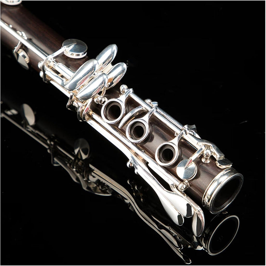 clarinet for Beginner Clarinet musical instrument adult beginner professional performance