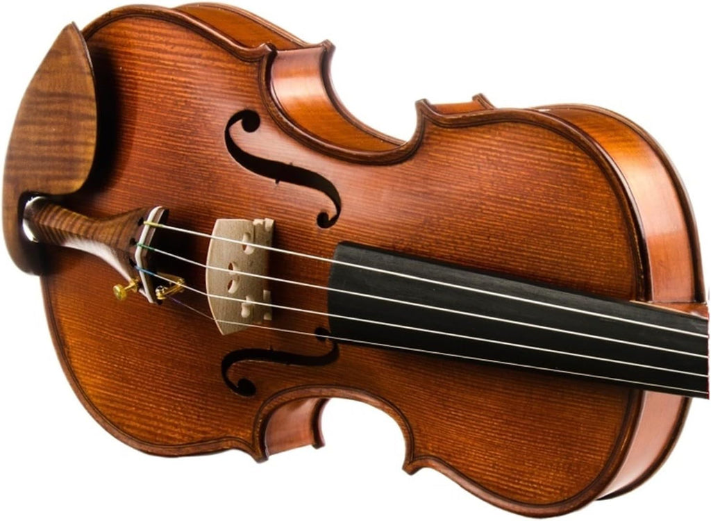 Violin 4/4 Violin Professional Musical Instrument Adult Maple Back Material