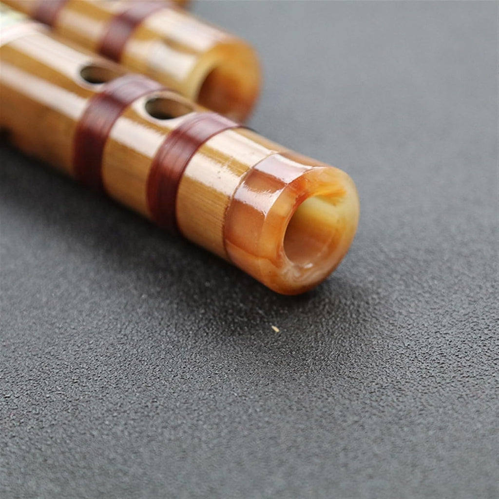 Bamboo Transverse Flute Sweet Flute Chinese Traditional Musical Instrument Adults Beginners Bamboo Flute (Color : E tune)