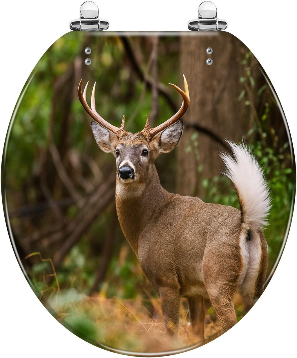 Round Toilet Seat Deer Hunting Animals Hunting White Tailed Deer Pennsylvania Stag Resin Toilet Seat Slow Quiet Close Lid with Quick-Release Hinges Cover Bumpers Easy to Clean Install
