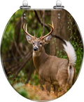 Round Toilet Seat Deer Hunting Animals Hunting White Tailed Deer Pennsylvania Stag Resin Toilet Seat Slow Quiet Close Lid with Quick-Release Hinges Cover Bumpers Easy to Clean Install