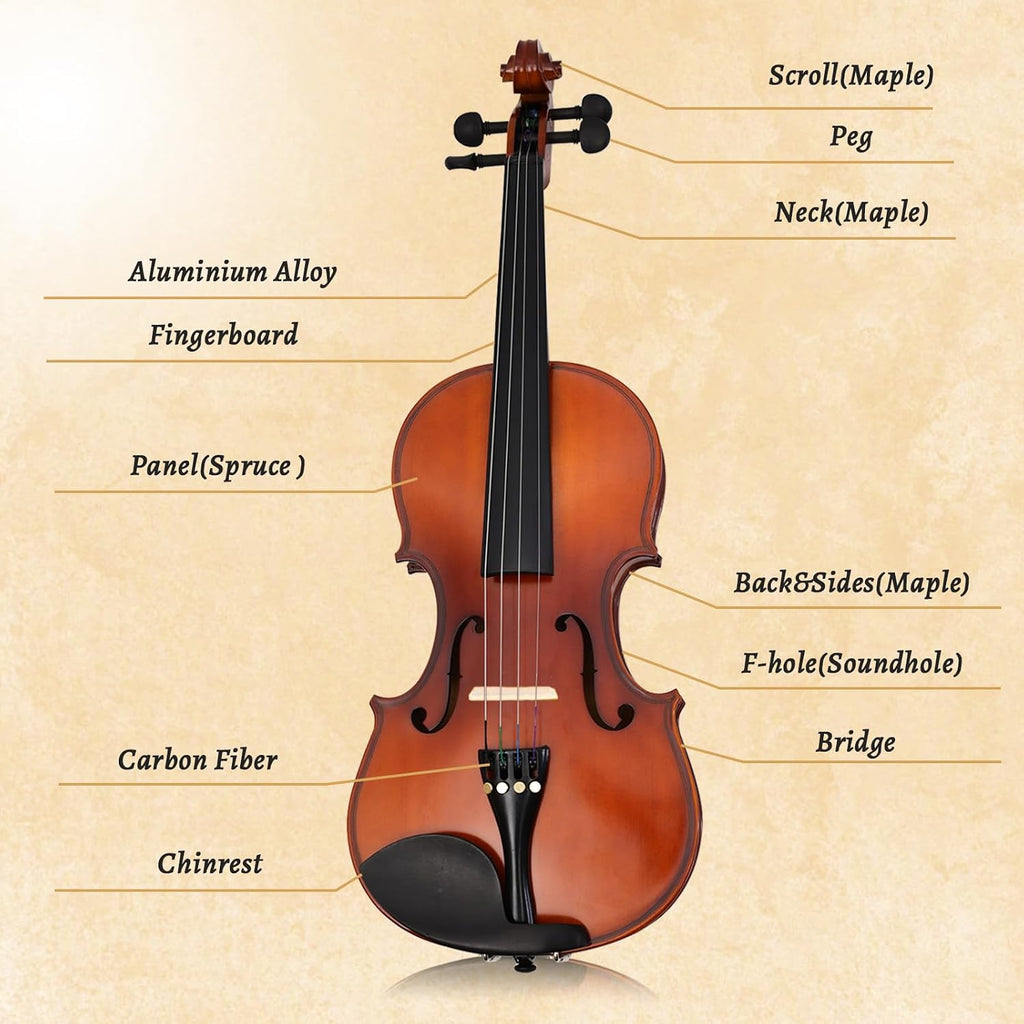 Violin 1/2 for Beginners with Hard Case, Violin Bow, Bridge, Shoulder Rest, Stickers, Tuner, Instruction, Handcraft with Maple, Spruce