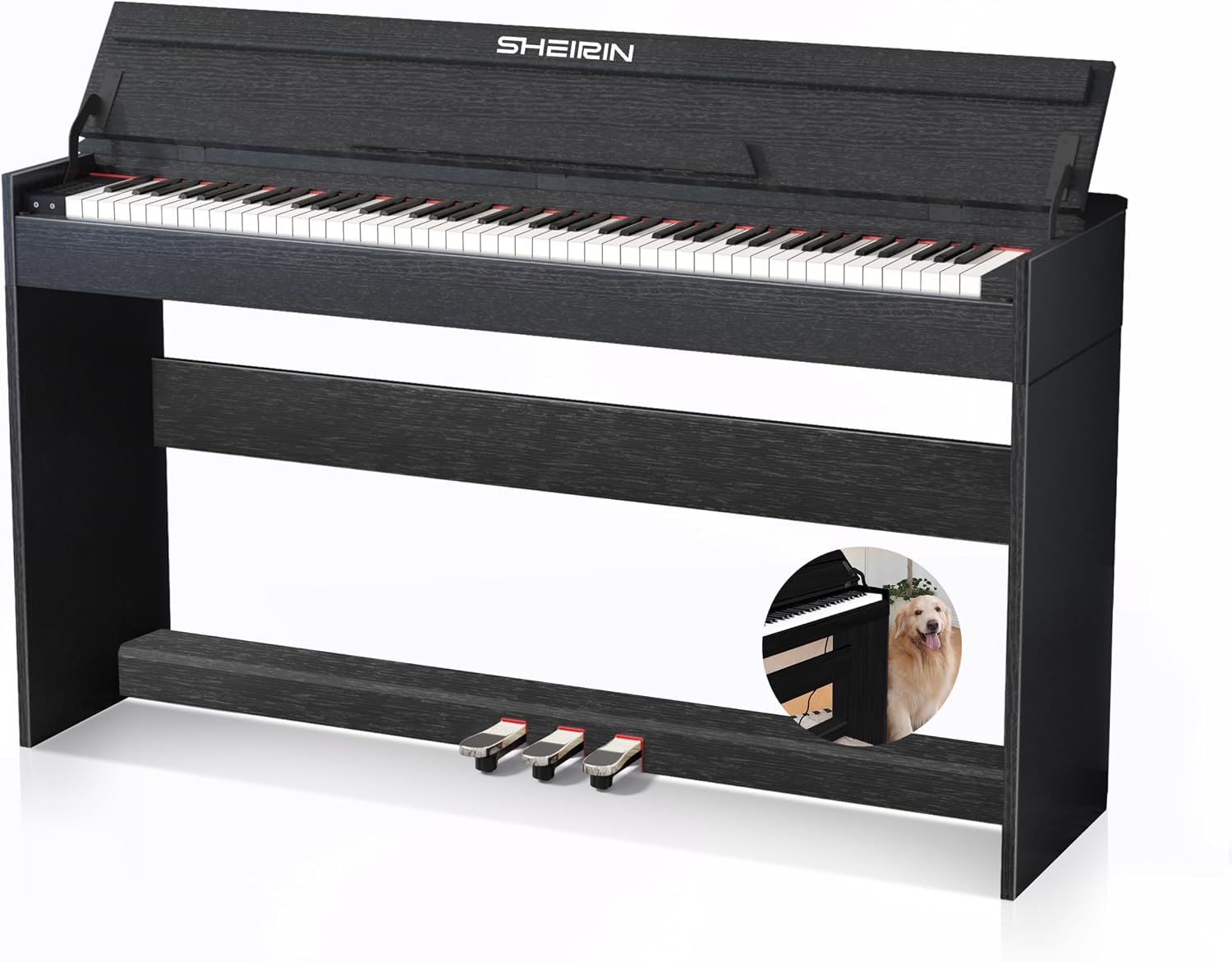 Digital Piano 88 Key Weighted Stand Cover Hammer Action Upright Acoustic Electric Keyboard Pedal Full Size Home Musical Beginners Adults Instrument Self Playing MIDI SR-CH80(black)