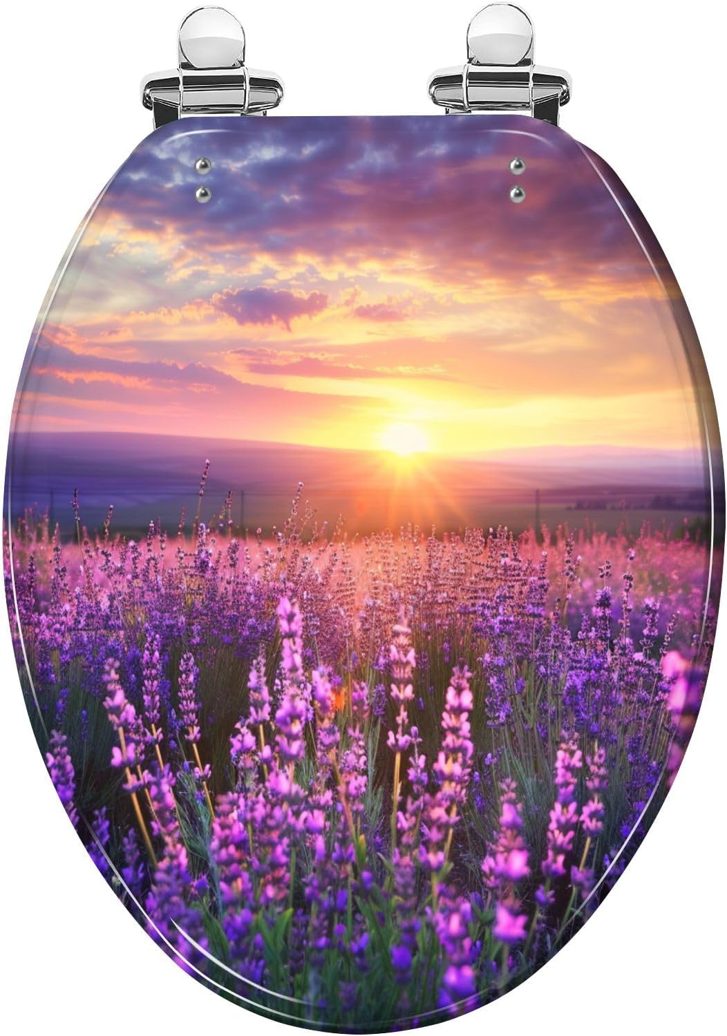 Elongated Toilet Seat Meadow lavender Resin Toilet Seat Slow Quiet Close Lid with Quick-Release Hinges Cover Bumpers Easy to Clean Install