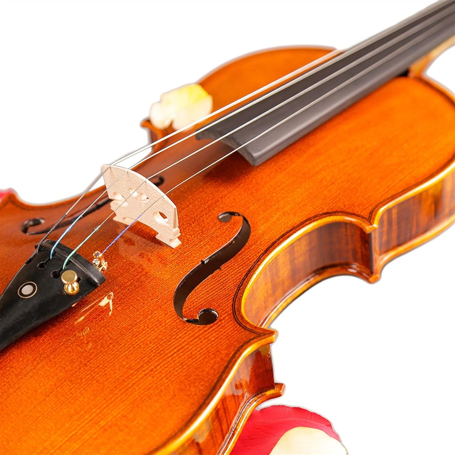 TSTS Professional Violin 20 Years Old Naturally Dried Stripes Maple Violin Body Handmade 4/4 Violin Musical Instrument Adults Violins (Color : 4/4)