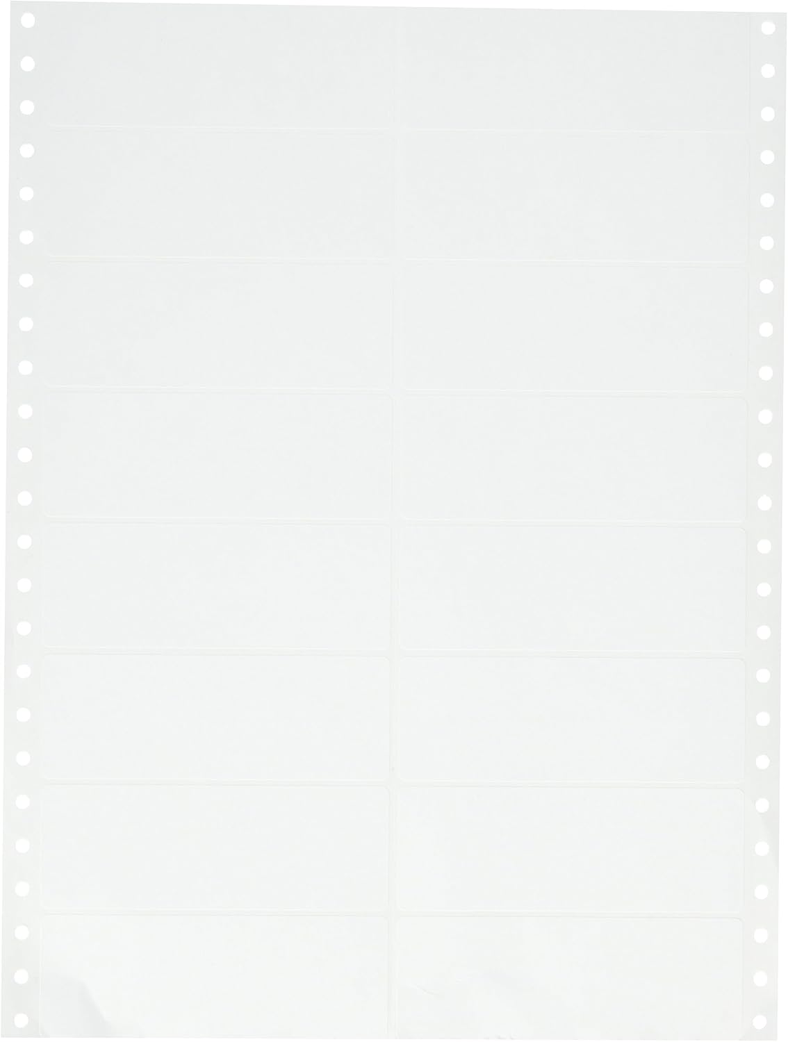 Compulabel Pinfeed Fanfold Labels 4' x 1-7/16', White, Permanent Adhesive, Continuous Form, Smudge Resistant, 10,000 Labels per Carton, Paper Material (120407)