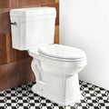 17' Comfort Height Toilet with Soft close seat, Two piece Toilets for Bathroom, Nano Self-Cleaning Glaze, 1.27 GPF Single Flush, 1000g MAP，Easy to Clean & Install, ADA Height, 12' Rough-In