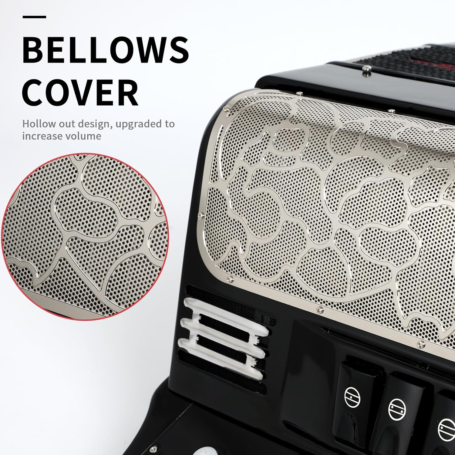 Horse Accordion, 34 Keys 12 Bass Accordion Instrument, F/B/E Tone for Adult Professional Players and Beginners, Comes with Case, Strap, Gloves,Oversleeves, and Wipe Cloth Acordeón Acordeones Adultos