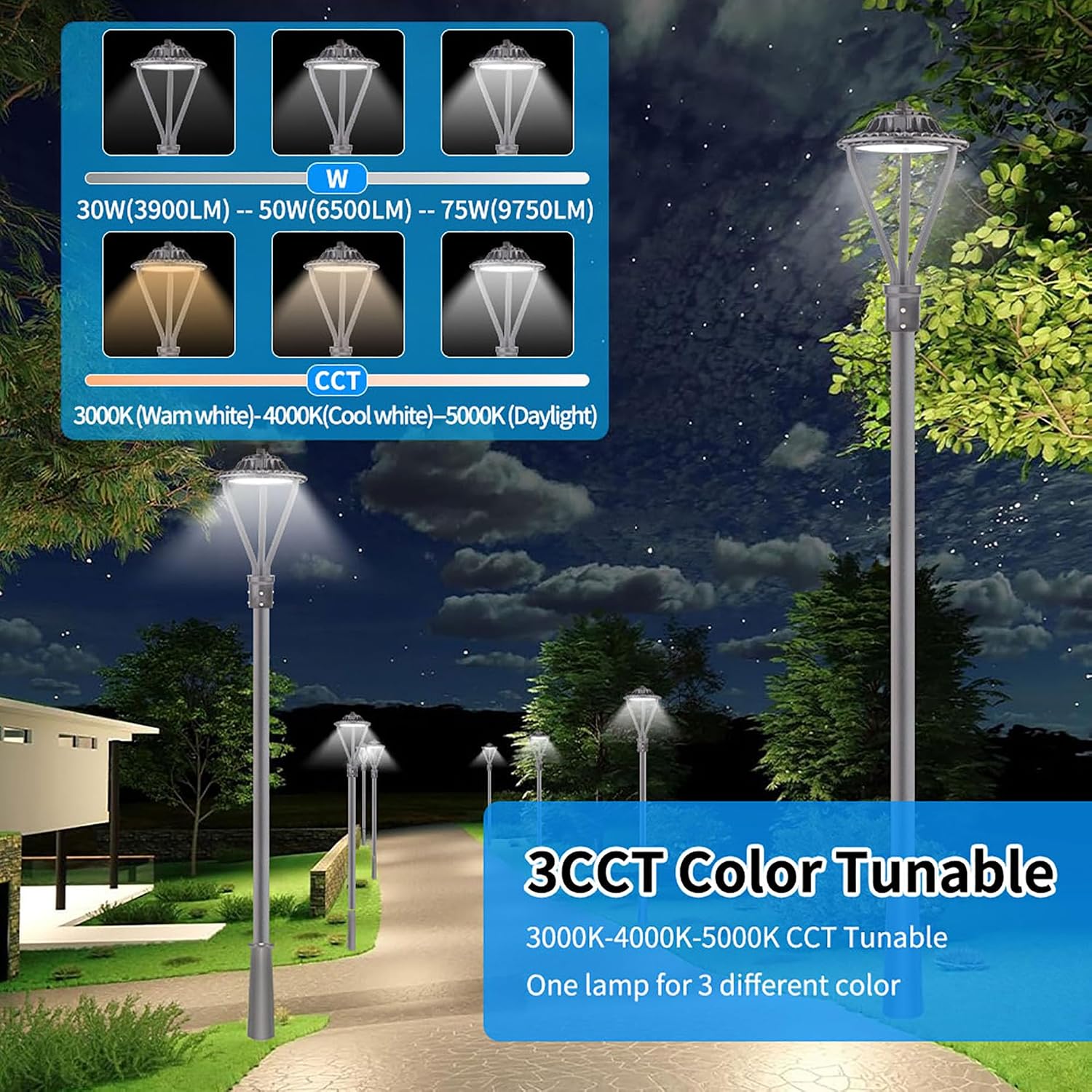 LED Post Top Pole Light,30W/50W/75W LED Post Top Light,DW 5000K,ETL DLC Listed,3000K 4000K 5000K 3CCT Tunable,IP65 Waterproof Fixtures for Garden Yard Pathway Street Lighting (Bronze)