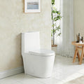Abruzzo One Piece Toilet For Bathroom, Elongated Dual Flush Toilet with Soft Closing Seat, 0.8/1.28 GPF High-Efficiency, Modern American Standard Modern Toilet for Bathroom, 12' Rough-In, Gloss White