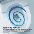TOTO® UltraMax® II One-Piece Elongated 1.28 GPF Universal Height Toilet with Right Hand Trip Lever, CEFIONTECT and SS124 SoftClose Seat, WASHLET+ Ready, Cotton White - MS604124CEFRG#01