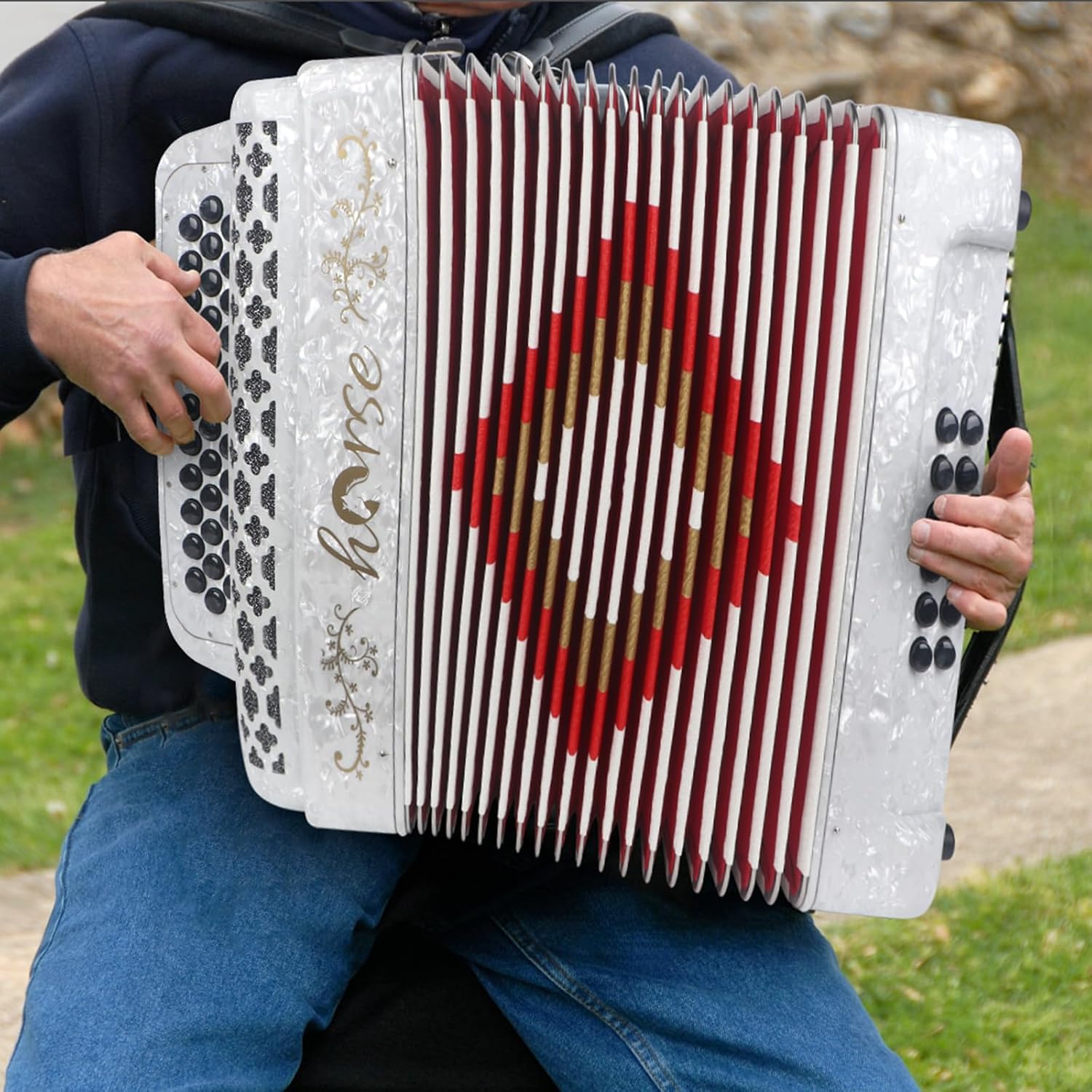 Horse 34 Key Accordion, FBE 12 Bass 3 Row, Made of Celluloid Louder & Clearer Timbre than Plastic,Accordions Instrument for Adults,W/Luxury Backpack,Straps,34 Buttons Acordeón Acordeones Para Adultos
